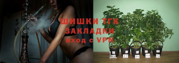 шишки Володарск