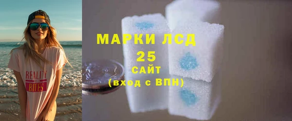 шишки Володарск
