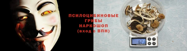 сатива Вяземский