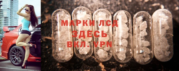 сатива Вяземский