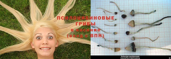дистиллят марихуана Волоколамск