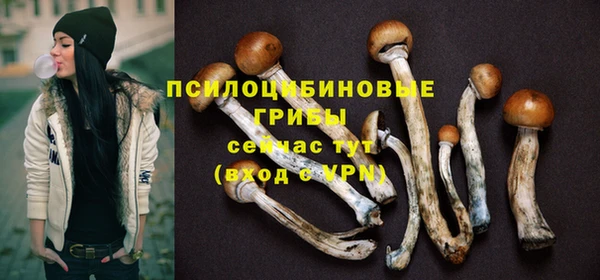 герыч Вязьма